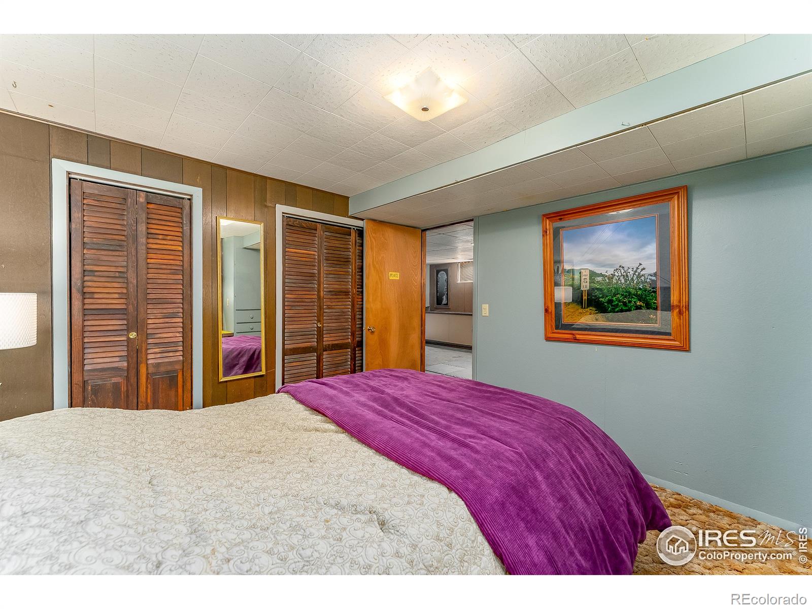 MLS Image #23 for 1301  ponderosa drive,fort collins, Colorado