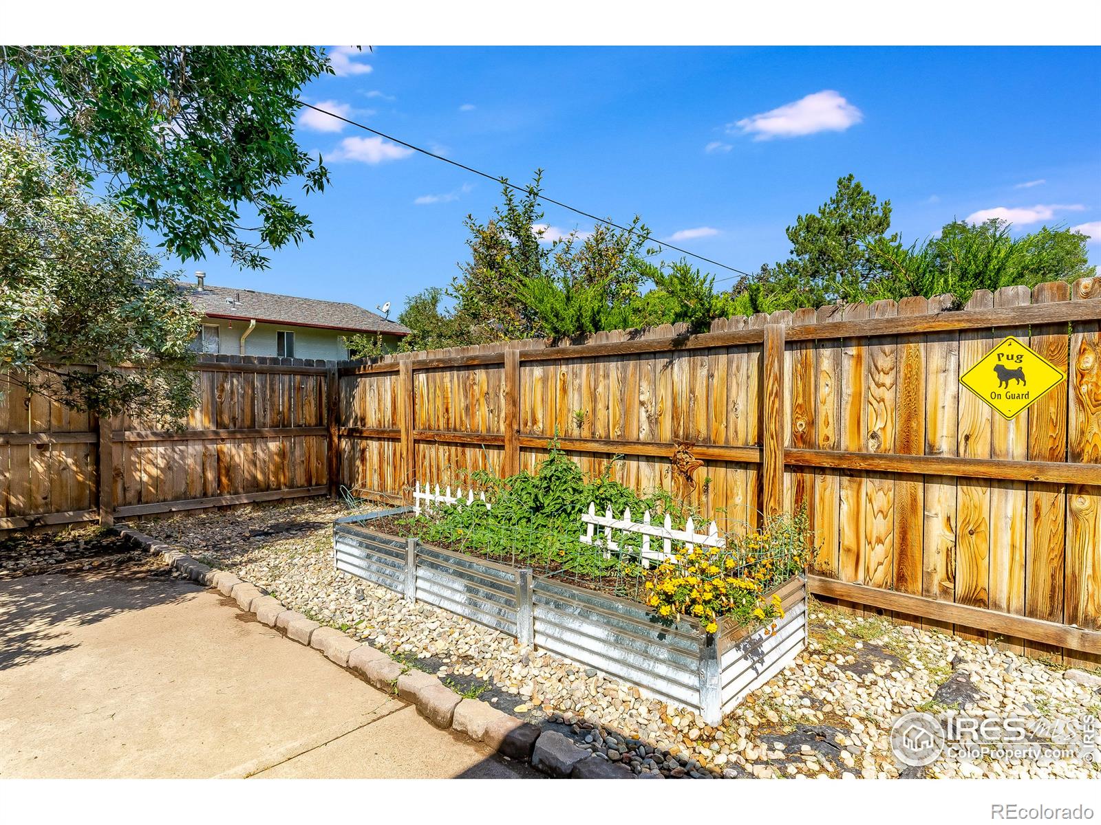 MLS Image #28 for 1301  ponderosa drive,fort collins, Colorado