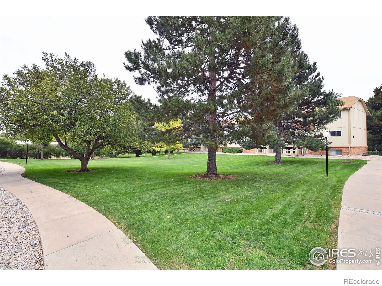 MLS Image #13 for 1024 e swallow road,fort collins, Colorado