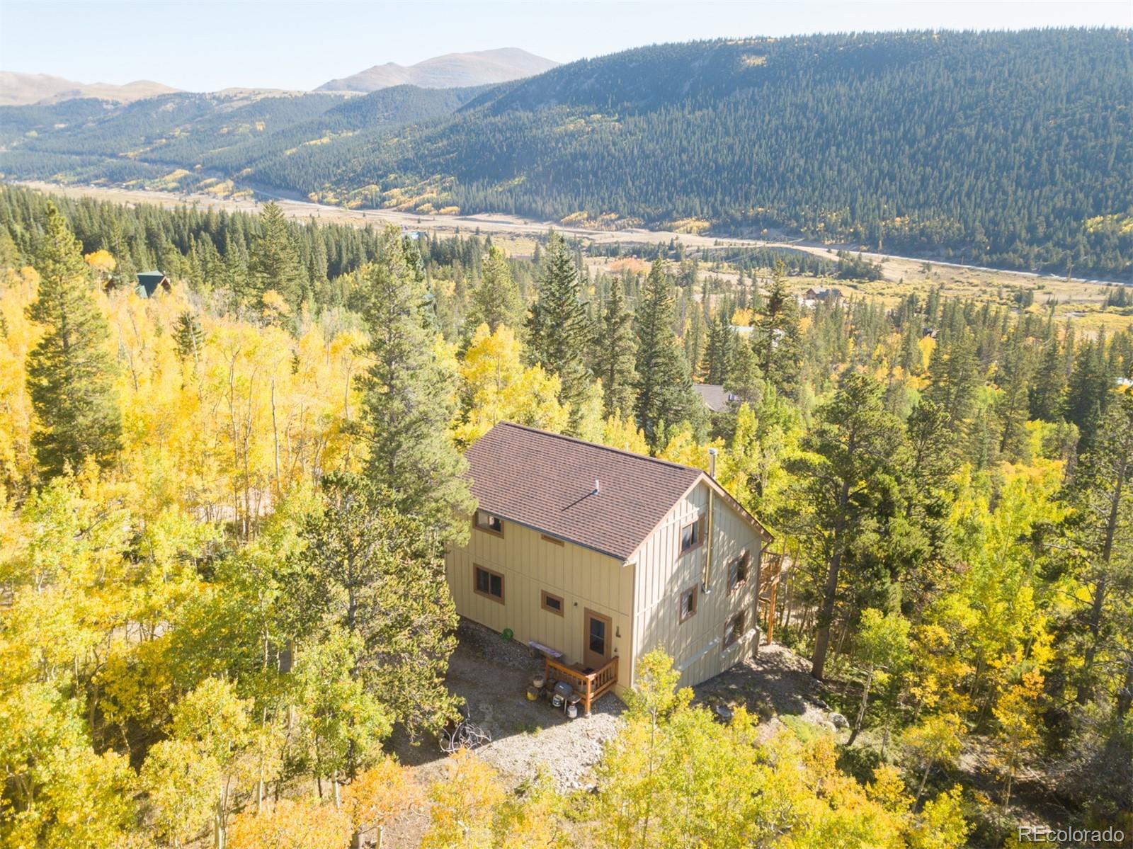 MLS Image #19 for 75  branch road,alma, Colorado