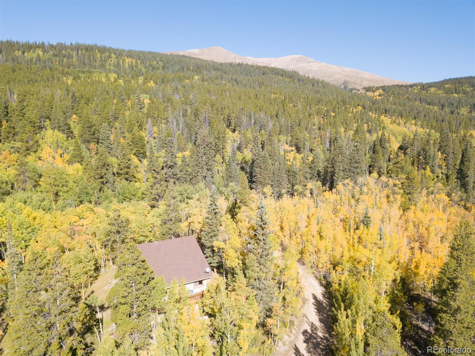 MLS Image #30 for 75  branch road,alma, Colorado