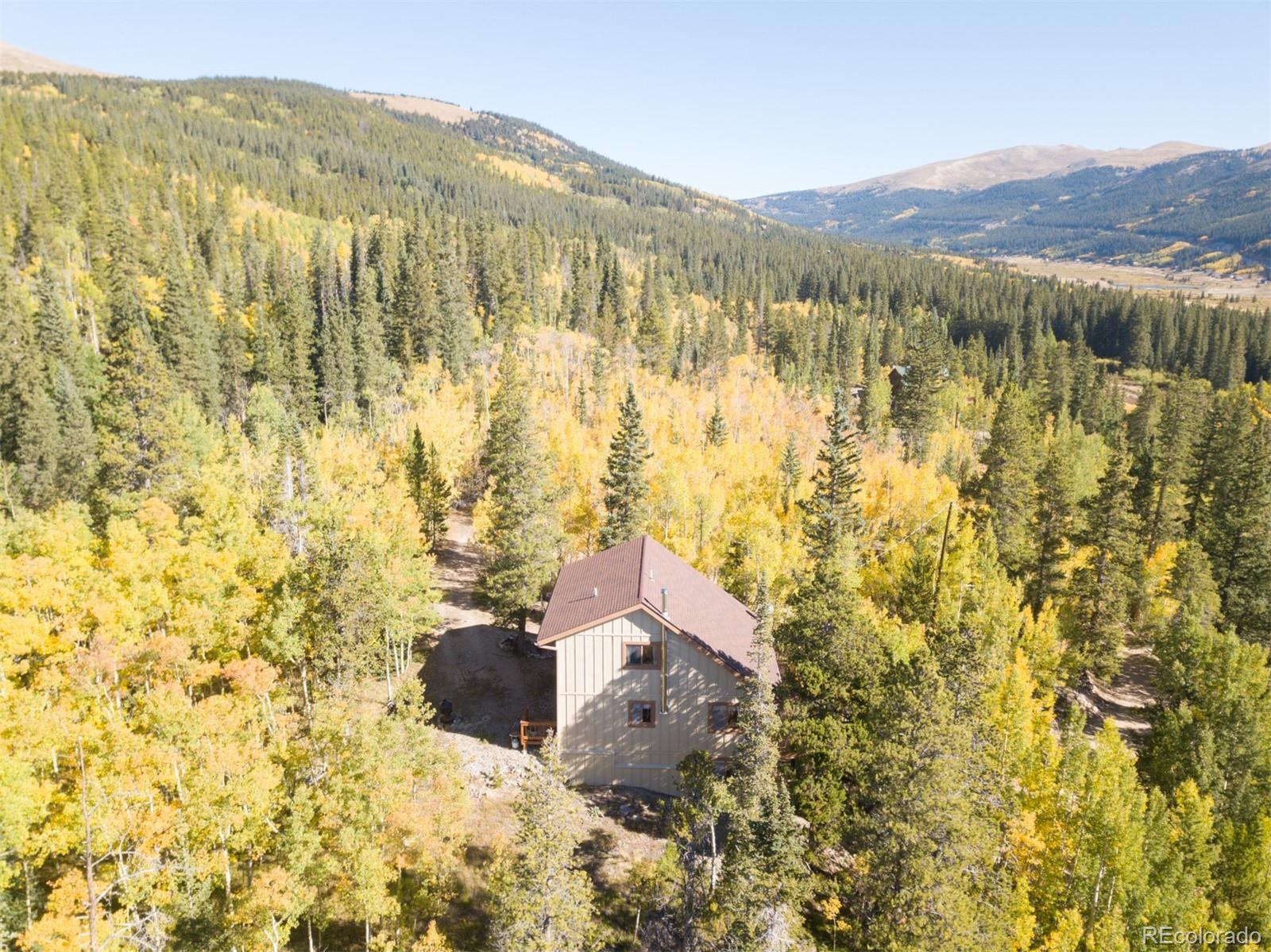 MLS Image #7 for 75  branch road,alma, Colorado