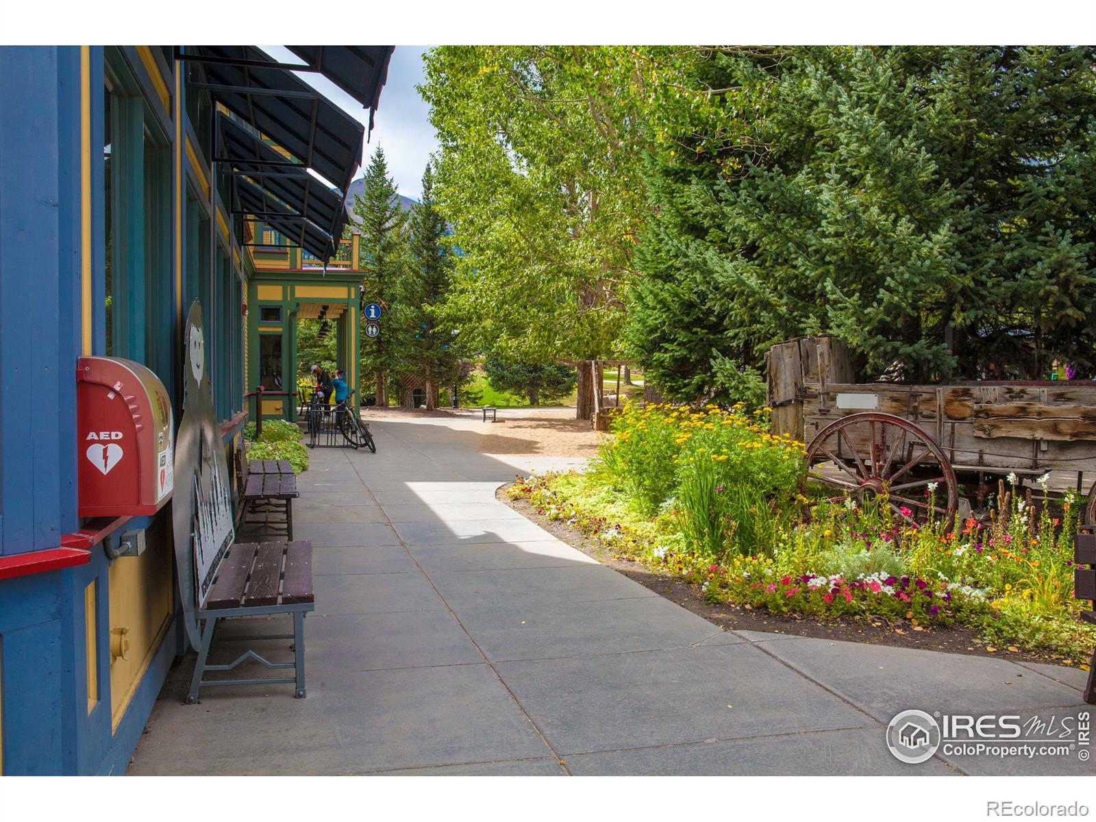 MLS Image #19 for 100  s. park avenue,breckenridge, Colorado