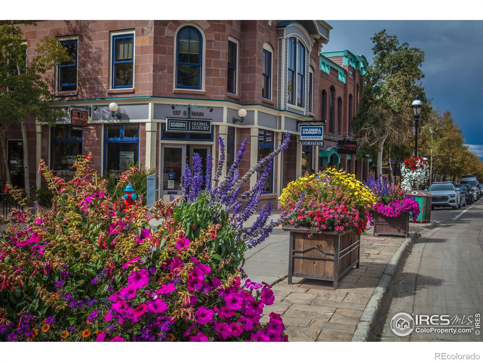 MLS Image #20 for 100  s. park avenue,breckenridge, Colorado