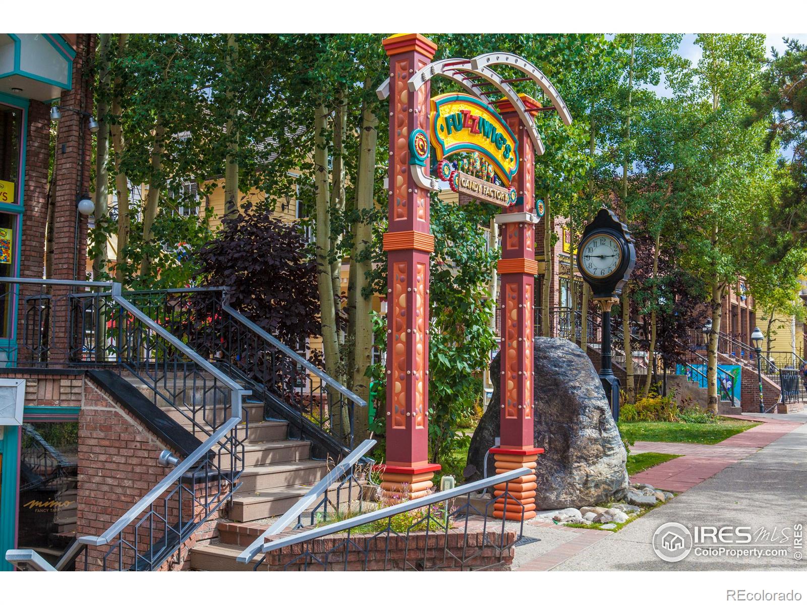 MLS Image #21 for 100  s. park avenue,breckenridge, Colorado