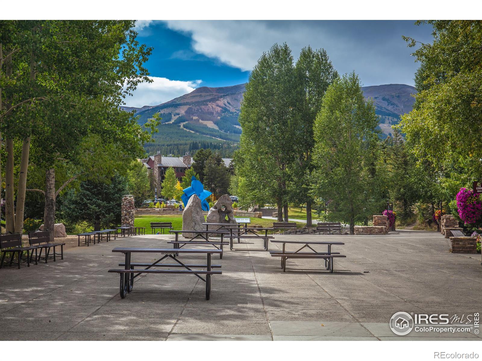 MLS Image #22 for 100  s. park avenue,breckenridge, Colorado