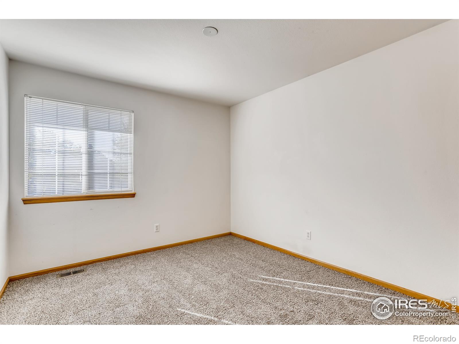 MLS Image #19 for 5284 s jericho street,centennial, Colorado