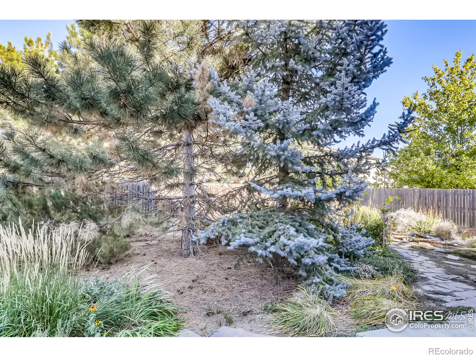 MLS Image #30 for 5284 s jericho street,centennial, Colorado