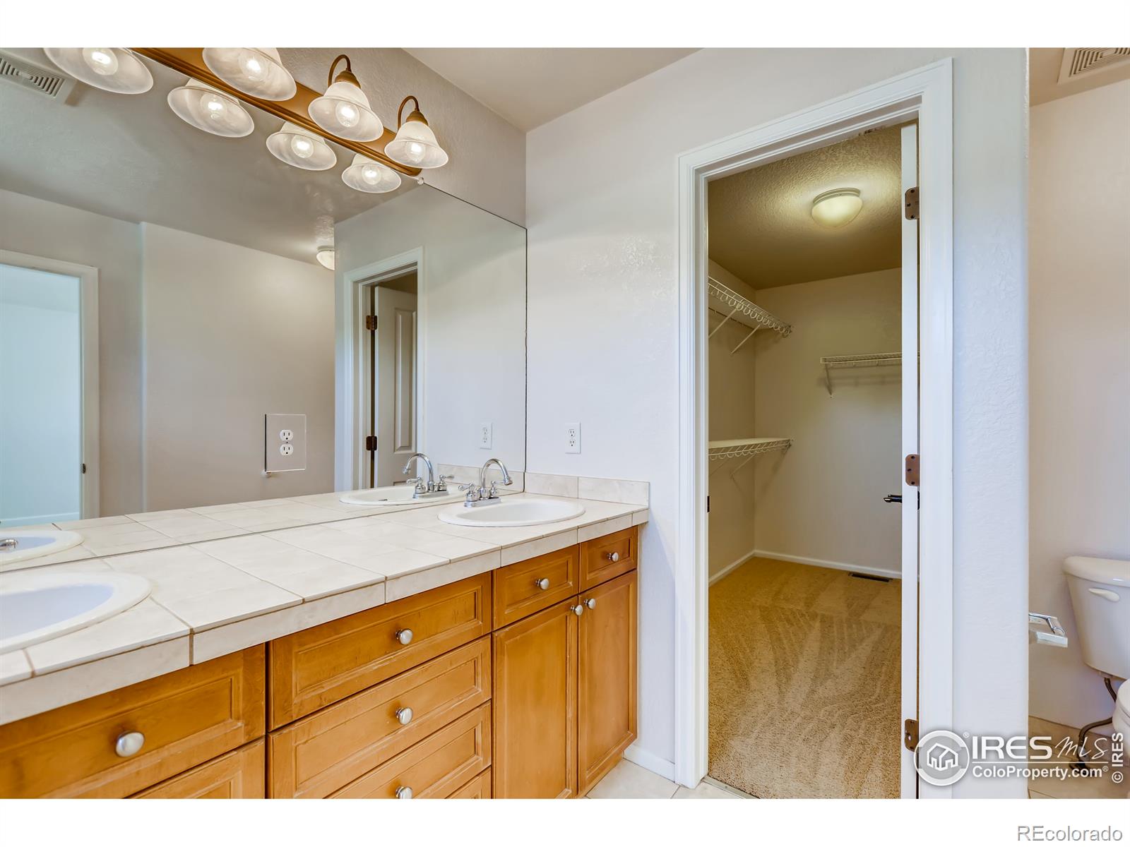 MLS Image #15 for 903  roslyn court,denver, Colorado