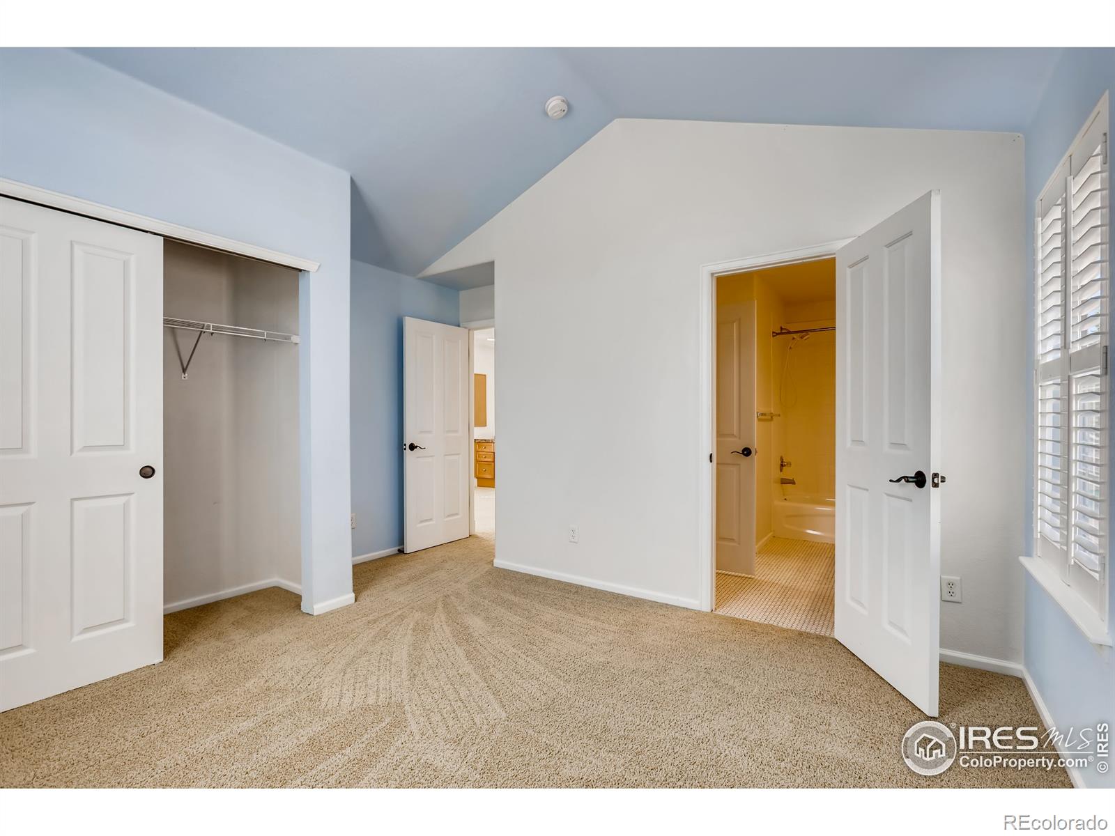 MLS Image #21 for 903  roslyn court,denver, Colorado