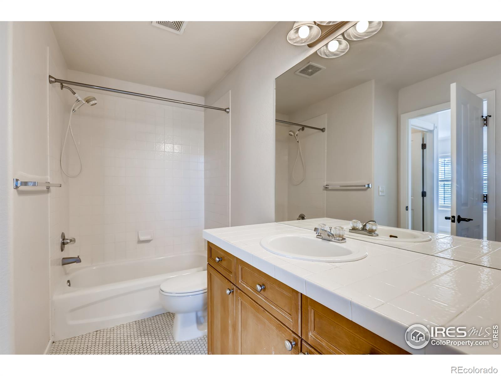 MLS Image #22 for 903  roslyn court,denver, Colorado