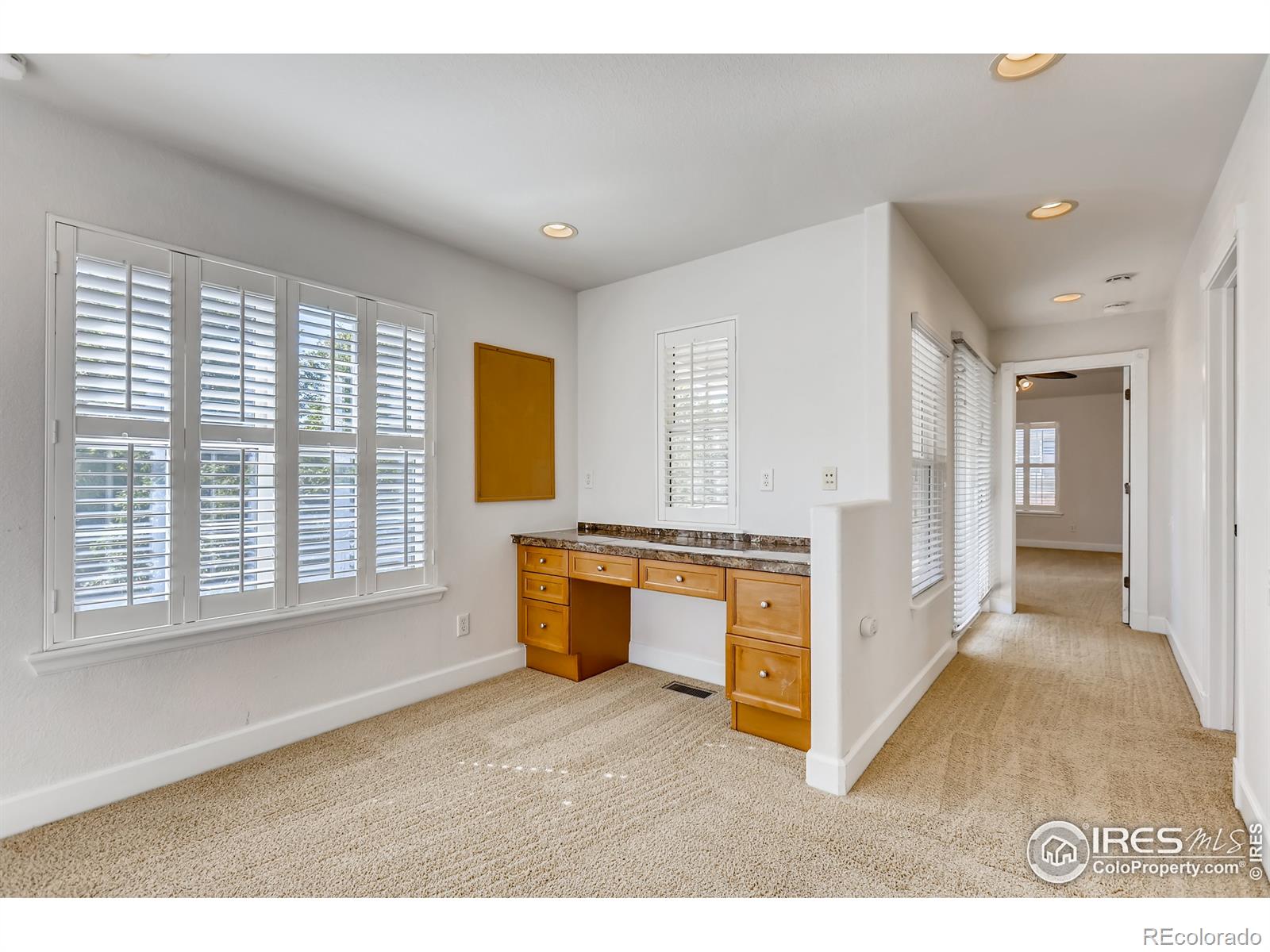 MLS Image #23 for 903  roslyn court,denver, Colorado