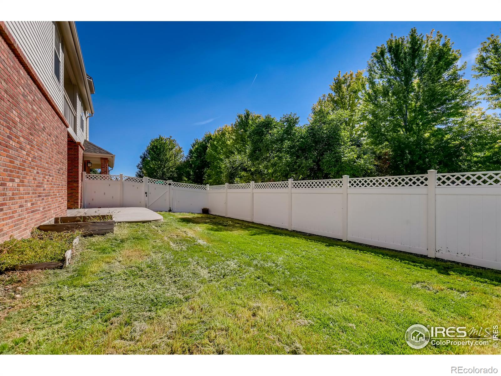 MLS Image #32 for 903  roslyn court,denver, Colorado