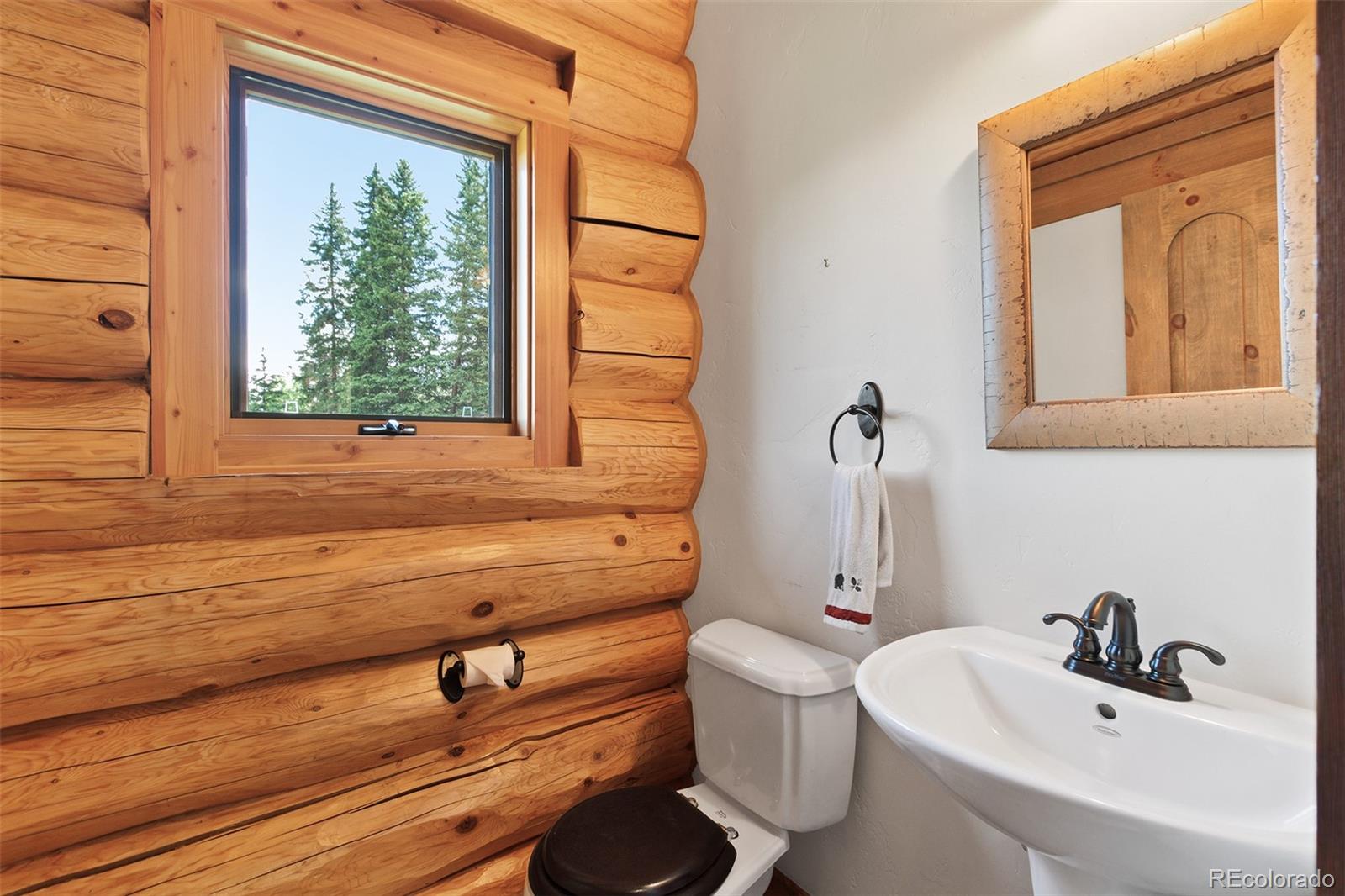 MLS Image #19 for 533  blue ridge road,breckenridge, Colorado