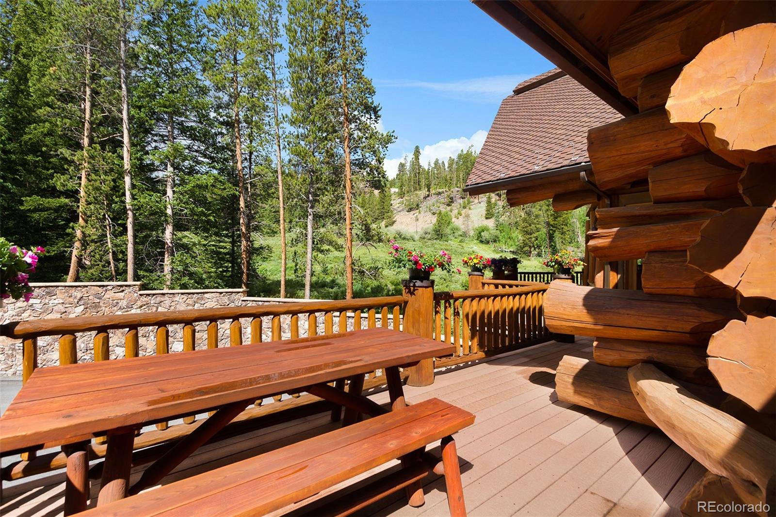 MLS Image #20 for 533  blue ridge road,breckenridge, Colorado