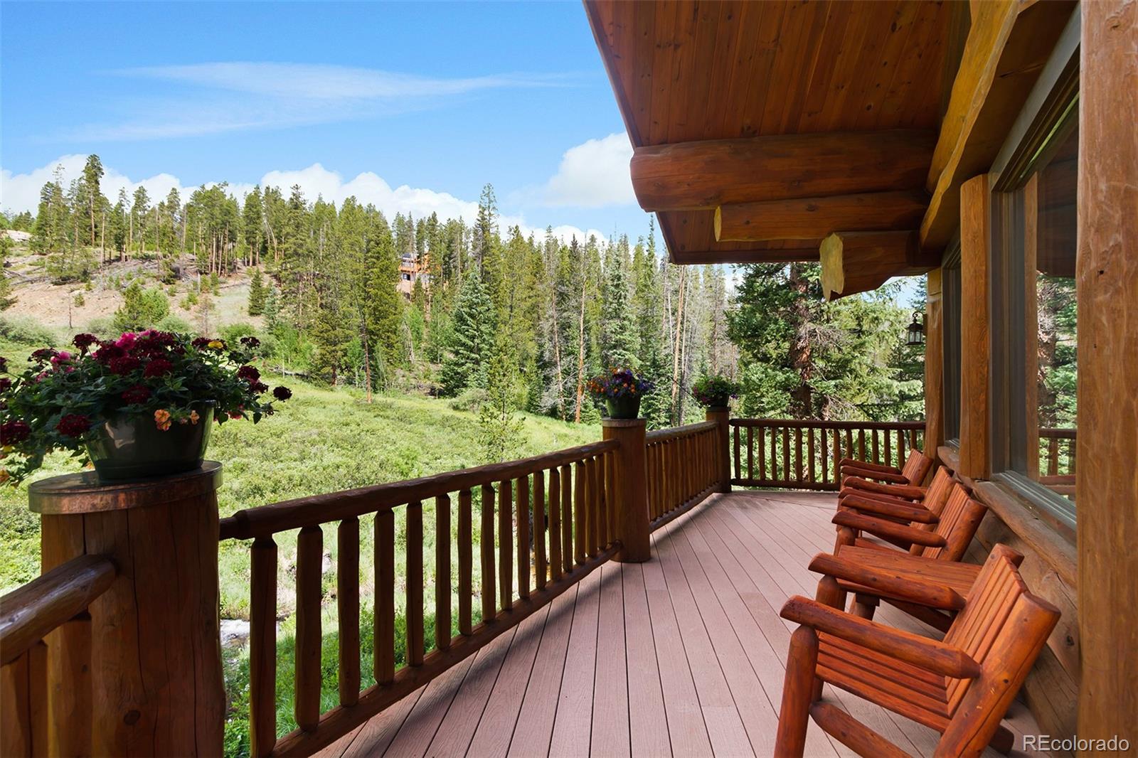 MLS Image #21 for 533  blue ridge road,breckenridge, Colorado