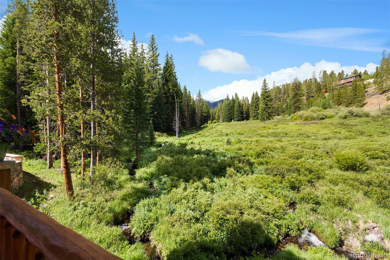 MLS Image #22 for 533  blue ridge road,breckenridge, Colorado