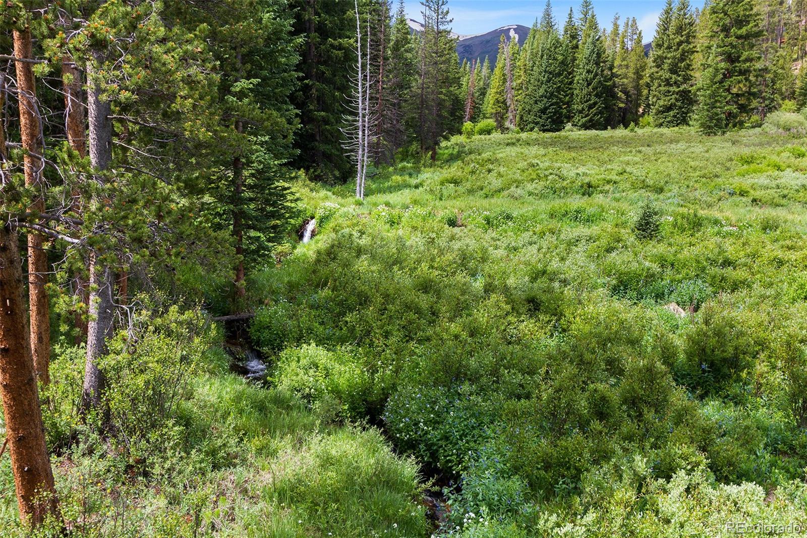 MLS Image #23 for 533  blue ridge road,breckenridge, Colorado