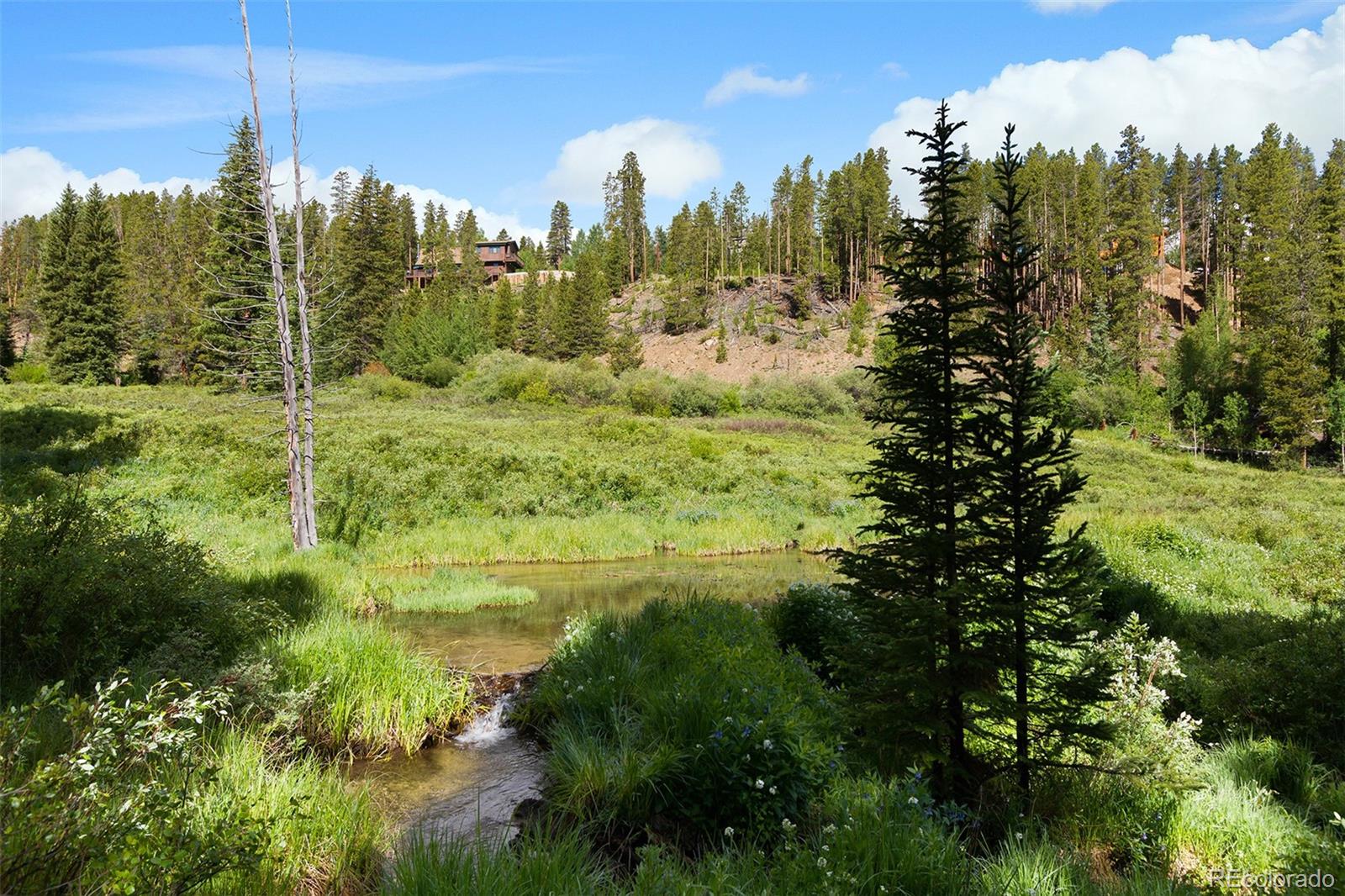 MLS Image #3 for 533  blue ridge road,breckenridge, Colorado