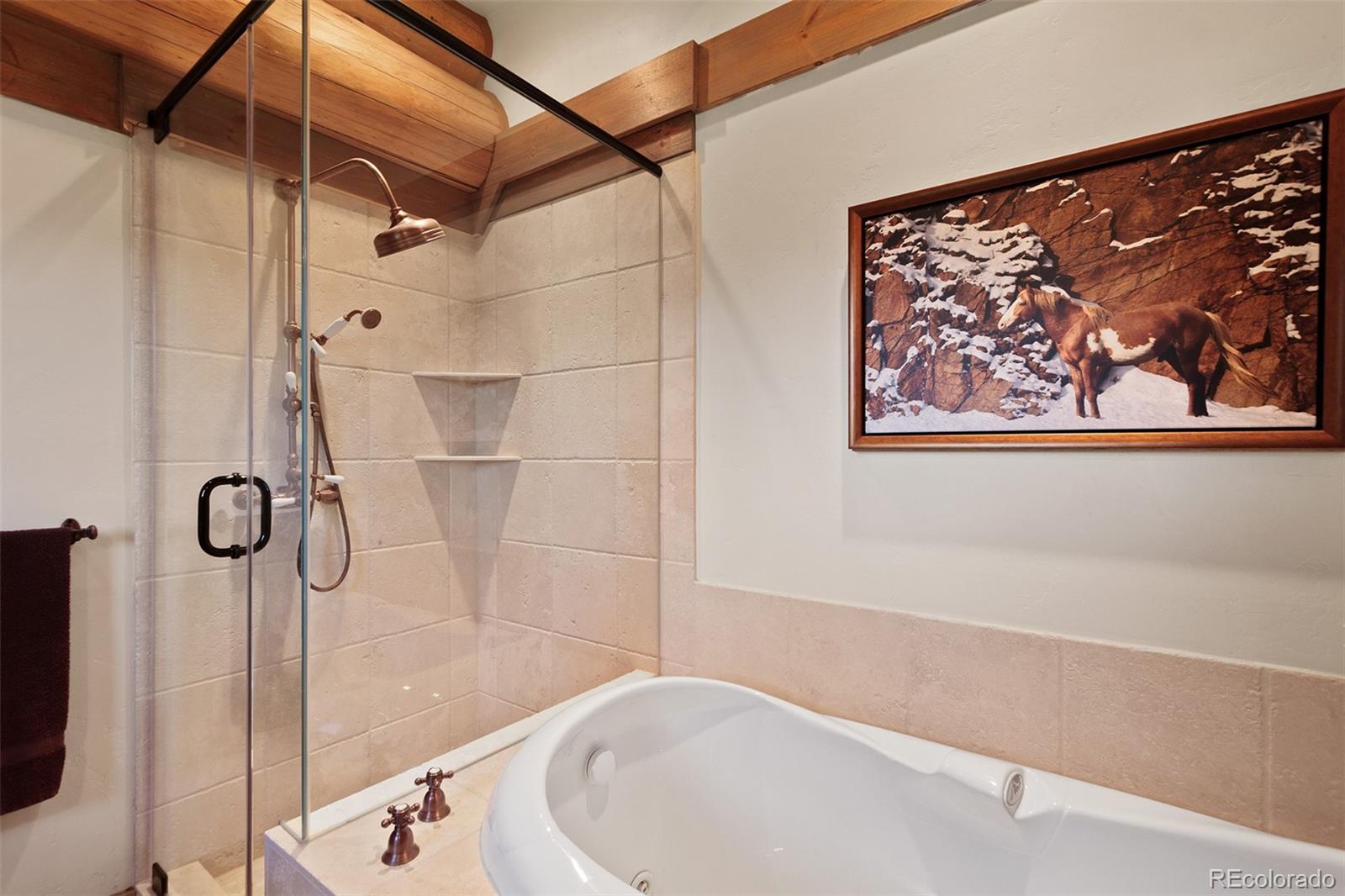 MLS Image #30 for 533  blue ridge road,breckenridge, Colorado