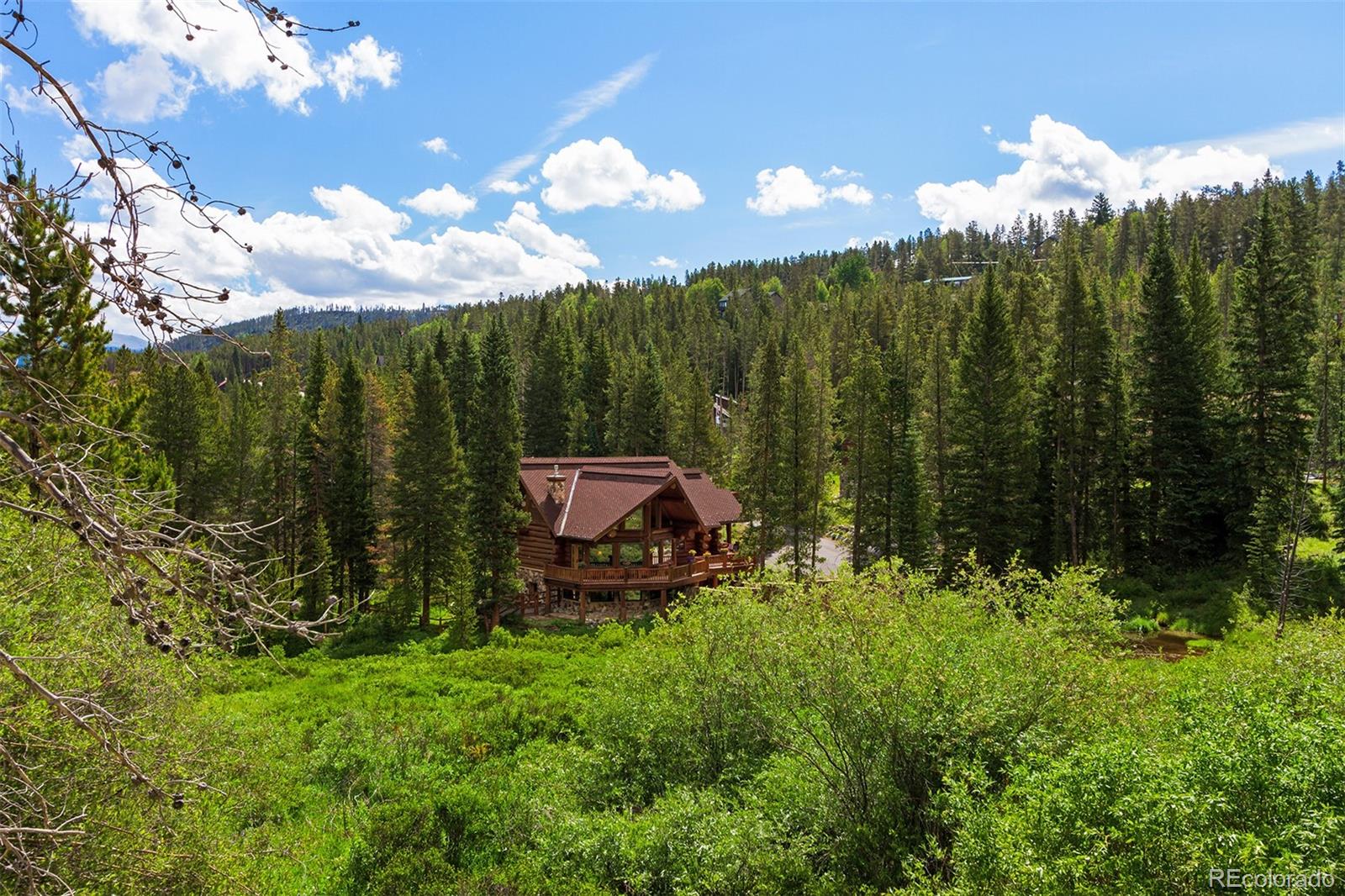 MLS Image #6 for 533  blue ridge road,breckenridge, Colorado