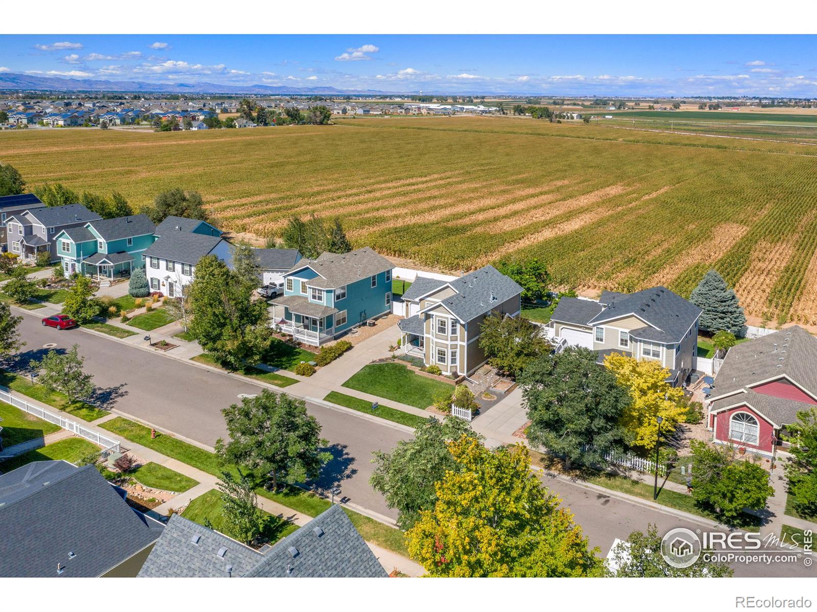 MLS Image #32 for 1220  fairfield avenue,windsor, Colorado