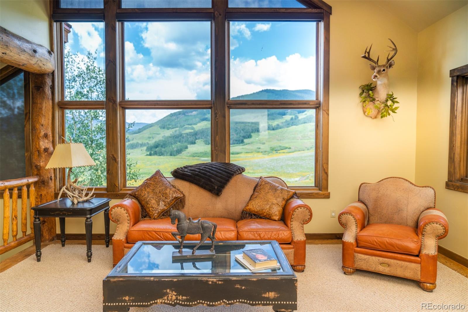 MLS Image #17 for 3  lapis lane,mt crested butte, Colorado