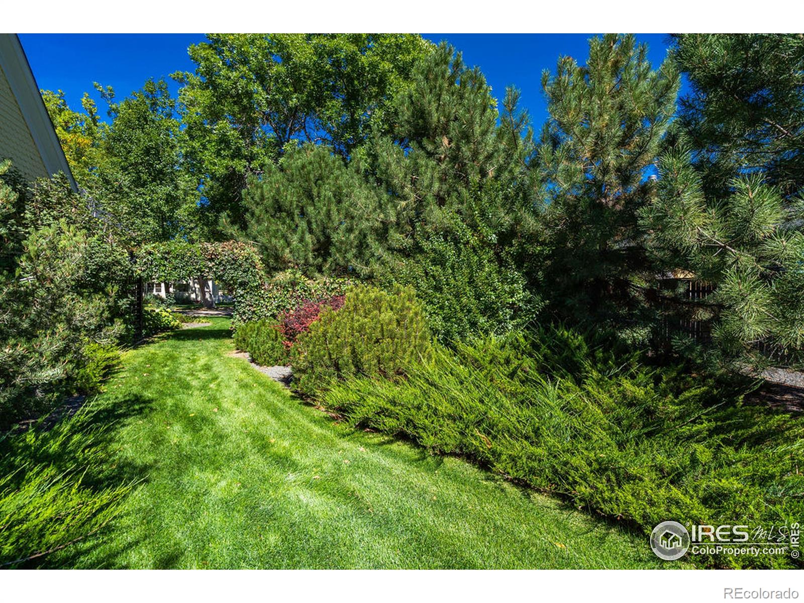 MLS Image #29 for 429  locust street,windsor, Colorado