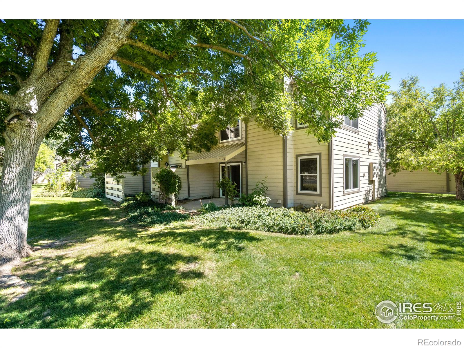 MLS Image #18 for 3465  lochwood drive,fort collins, Colorado