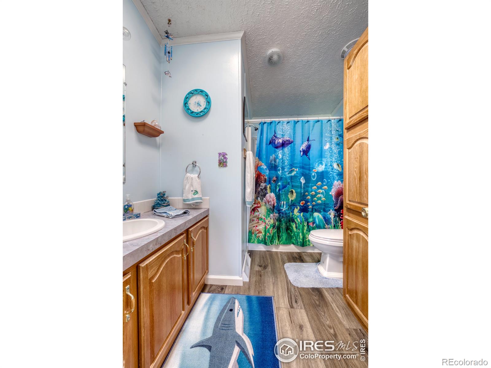 MLS Image #15 for 115  chatoga avenue,grover, Colorado