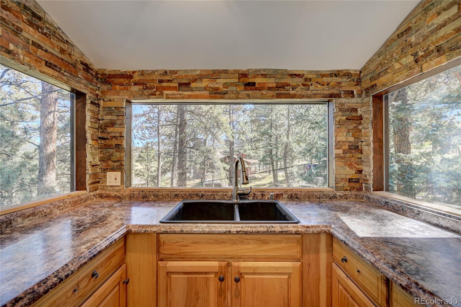 MLS Image #14 for 133  crestview lane,bailey, Colorado