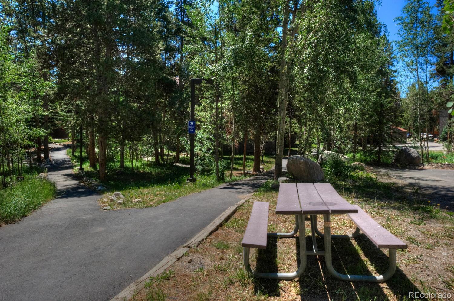 MLS Image #31 for 305 s park avenue,breckenridge, Colorado