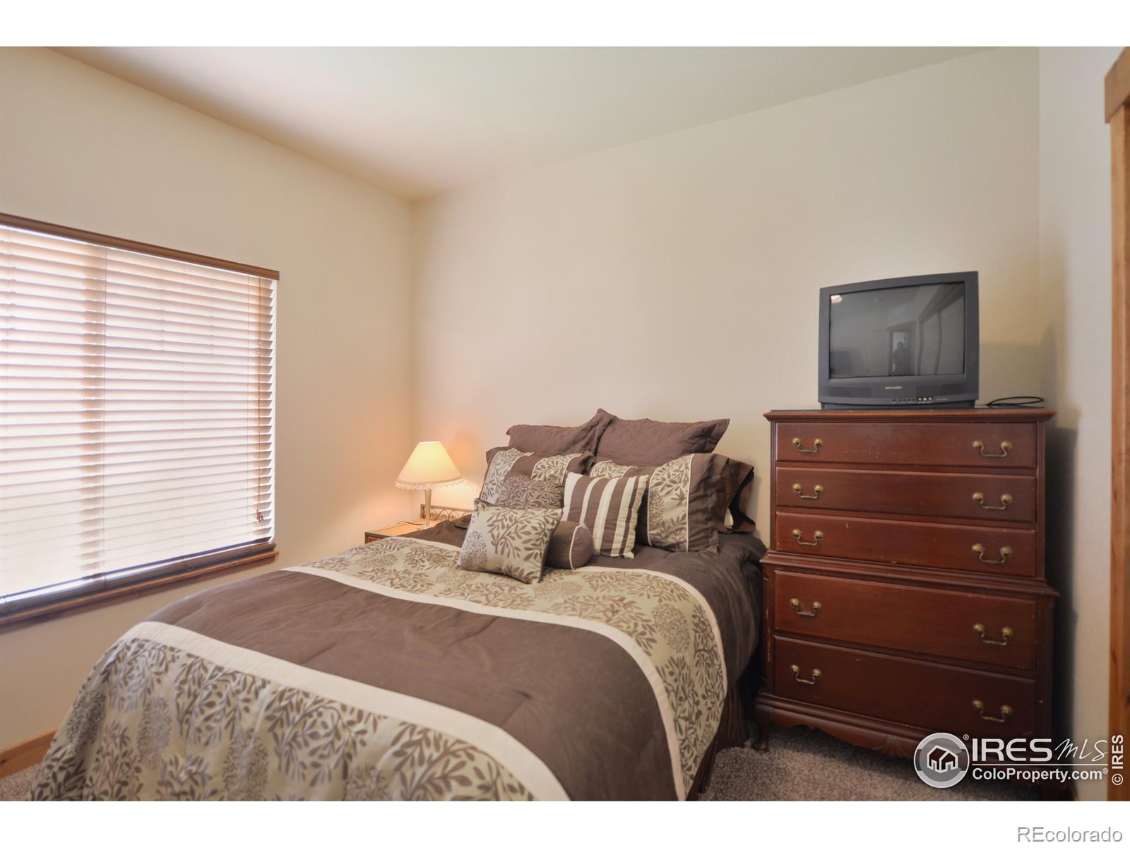 MLS Image #12 for 374  saratoga way,windsor, Colorado