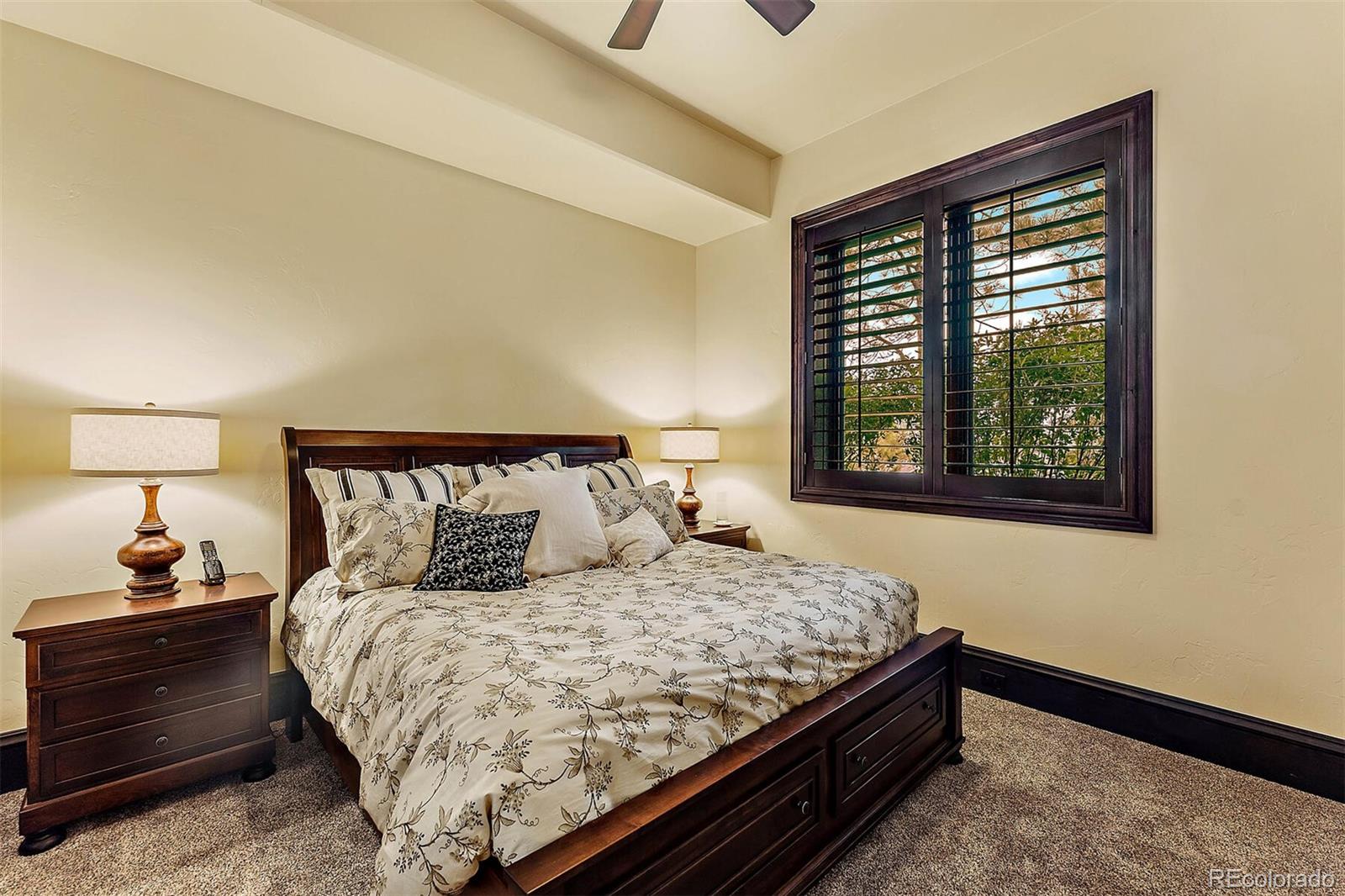 MLS Image #35 for 5811  regal oak lane,parker, Colorado