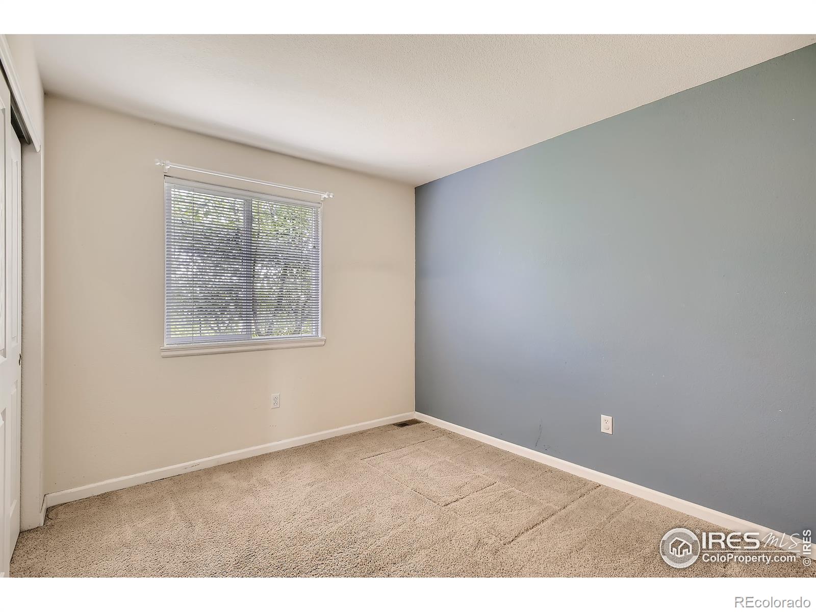 MLS Image #20 for 2838  brush creek drive,fort collins, Colorado