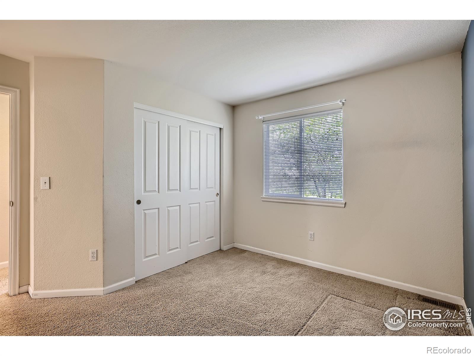 MLS Image #21 for 2838  brush creek drive,fort collins, Colorado