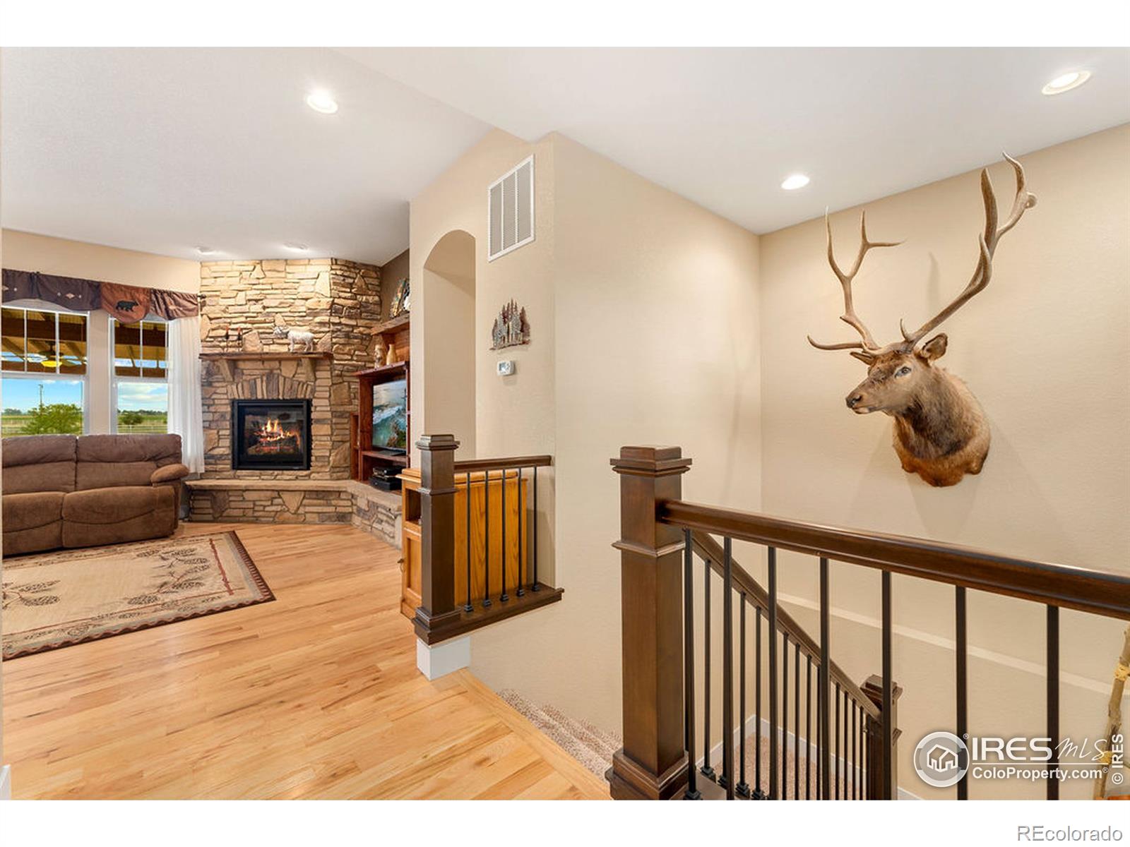 MLS Image #3 for 40771  jade drive,ault, Colorado