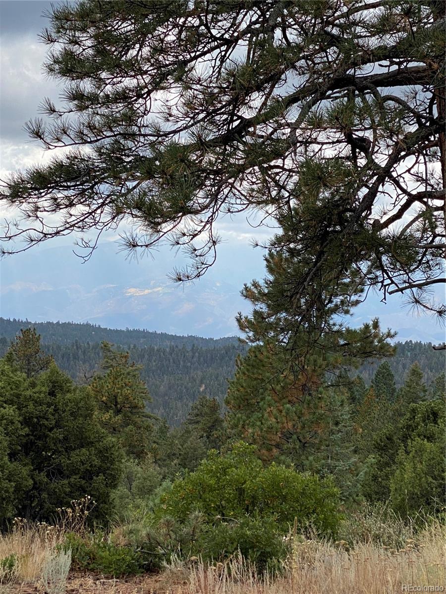 MLS Image #11 for 640  ridgeway drive,cotopaxi, Colorado