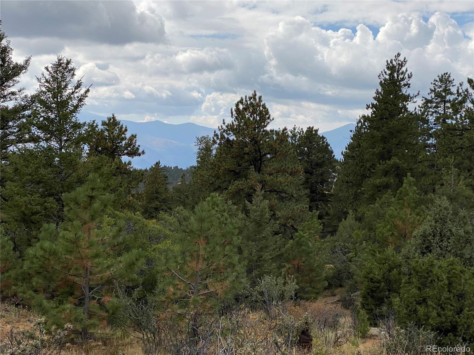 MLS Image #29 for 640  ridgeway drive,cotopaxi, Colorado