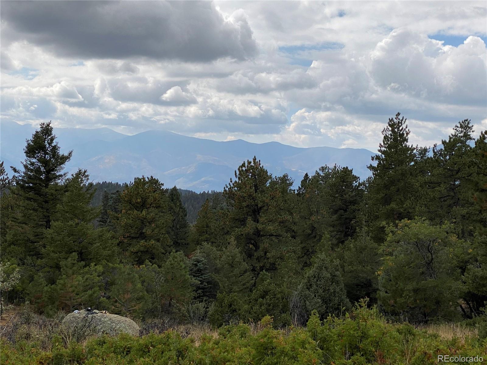 MLS Image #6 for 640  ridgeway drive,cotopaxi, Colorado