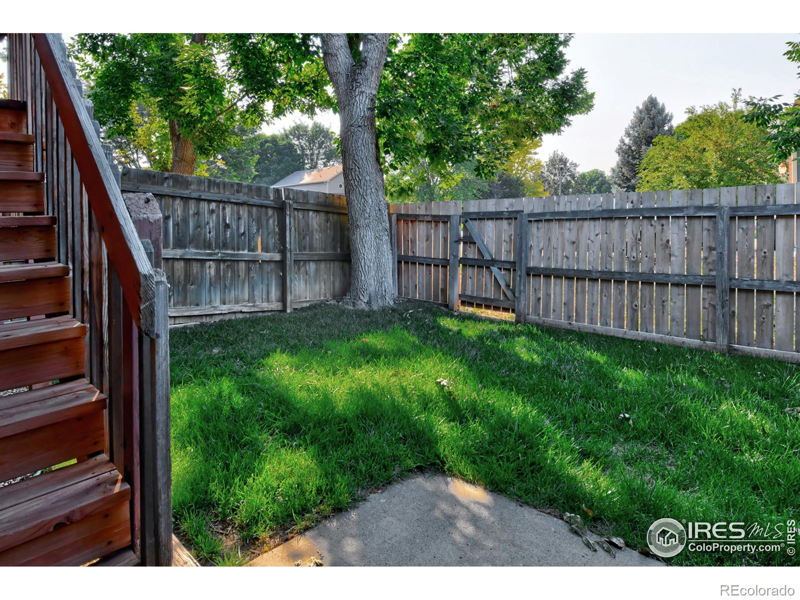 MLS Image #7 for 1727  lefthand drive,longmont, Colorado