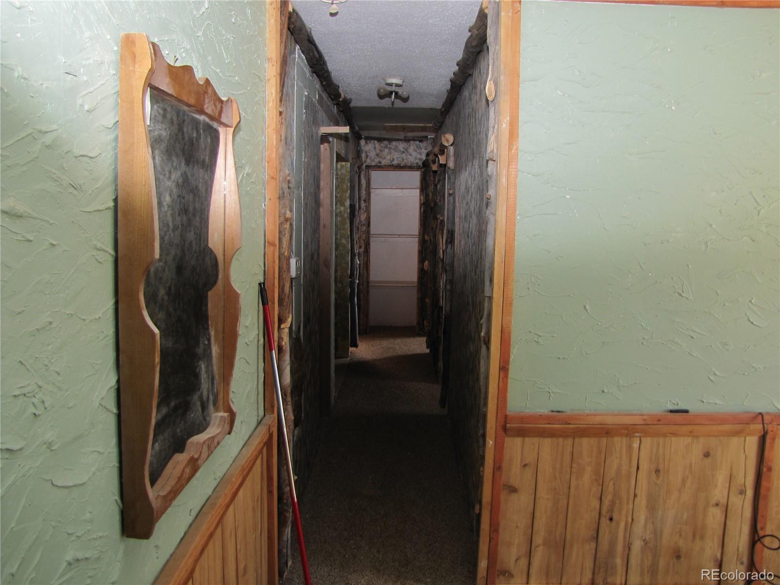 MLS Image #3 for 2015  arapahoe trail,hartsel, Colorado