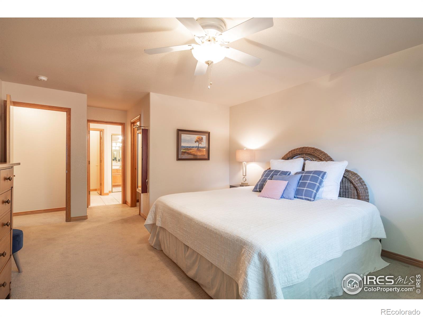 MLS Image #20 for 1725  grove court,longmont, Colorado