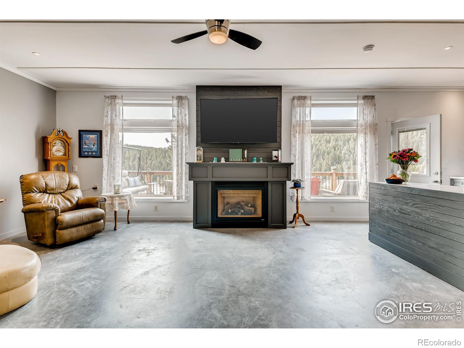 MLS Image #2 for 24  sundance circle,nederland, Colorado