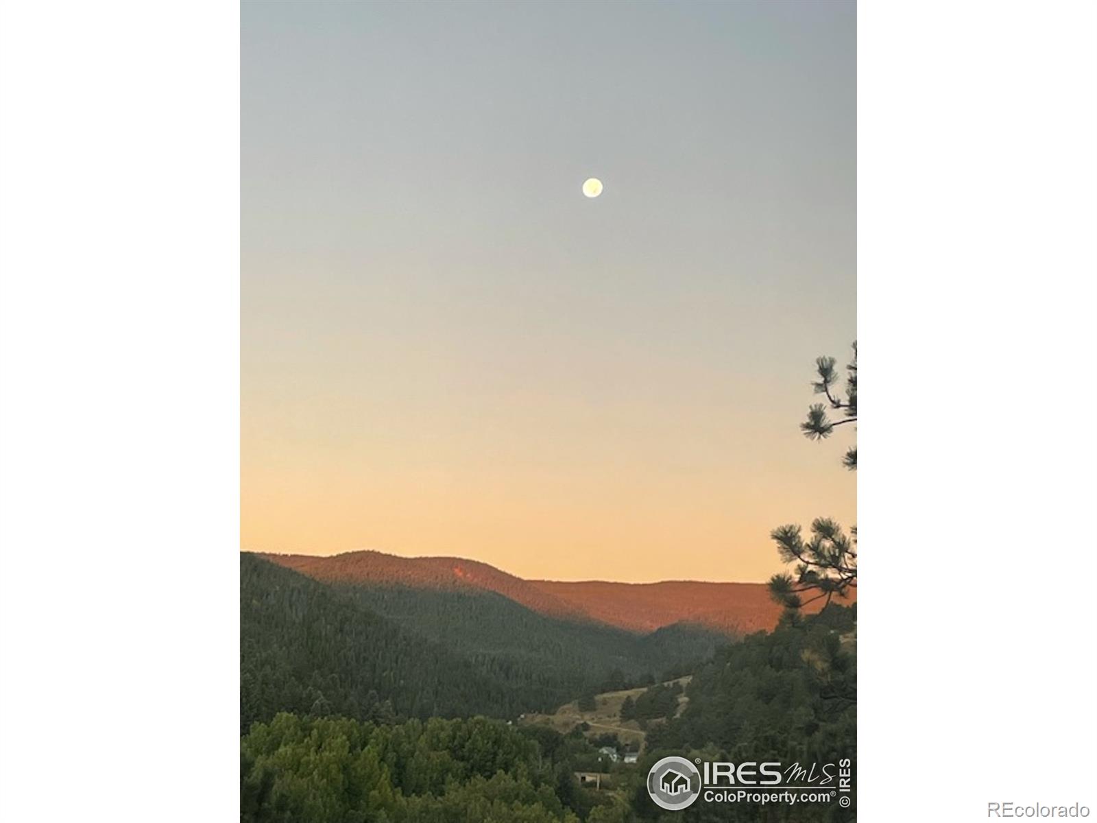 MLS Image #25 for 24  sundance circle,nederland, Colorado