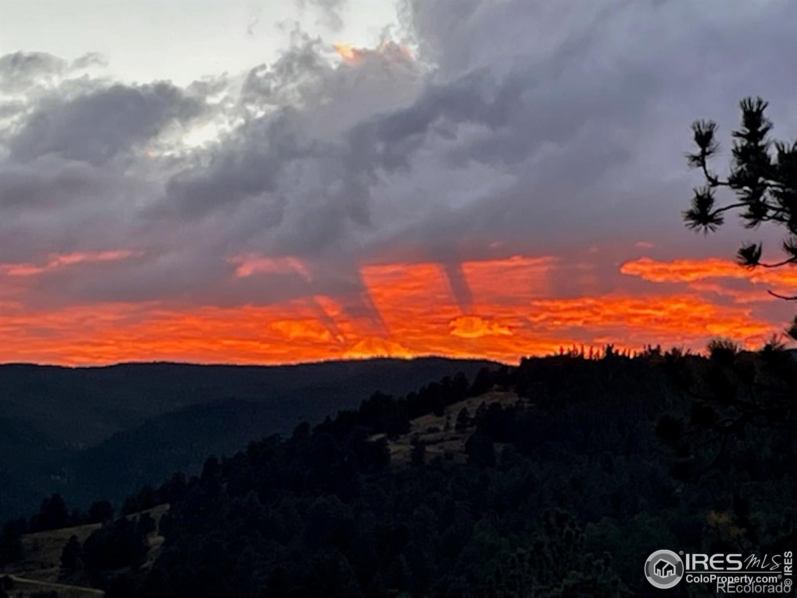 MLS Image #26 for 24  sundance circle,nederland, Colorado