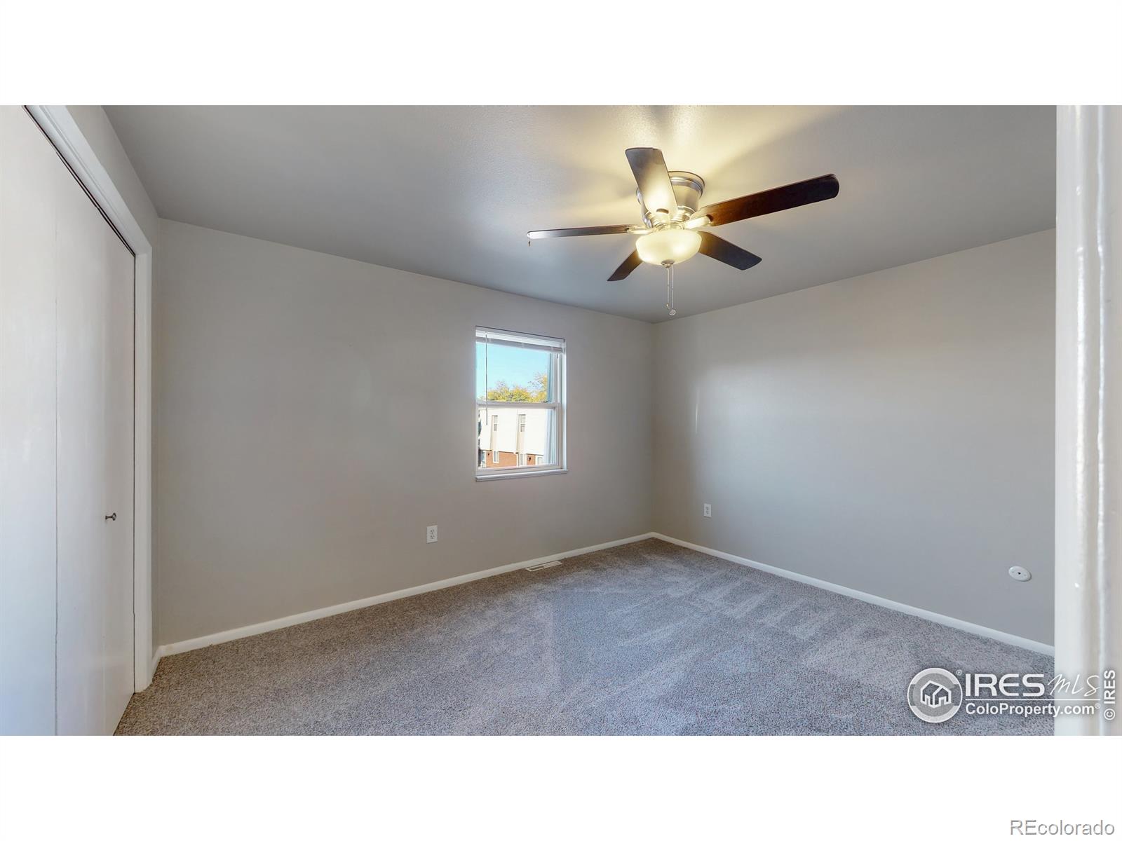 MLS Image #15 for 219  chestnut street,windsor, Colorado