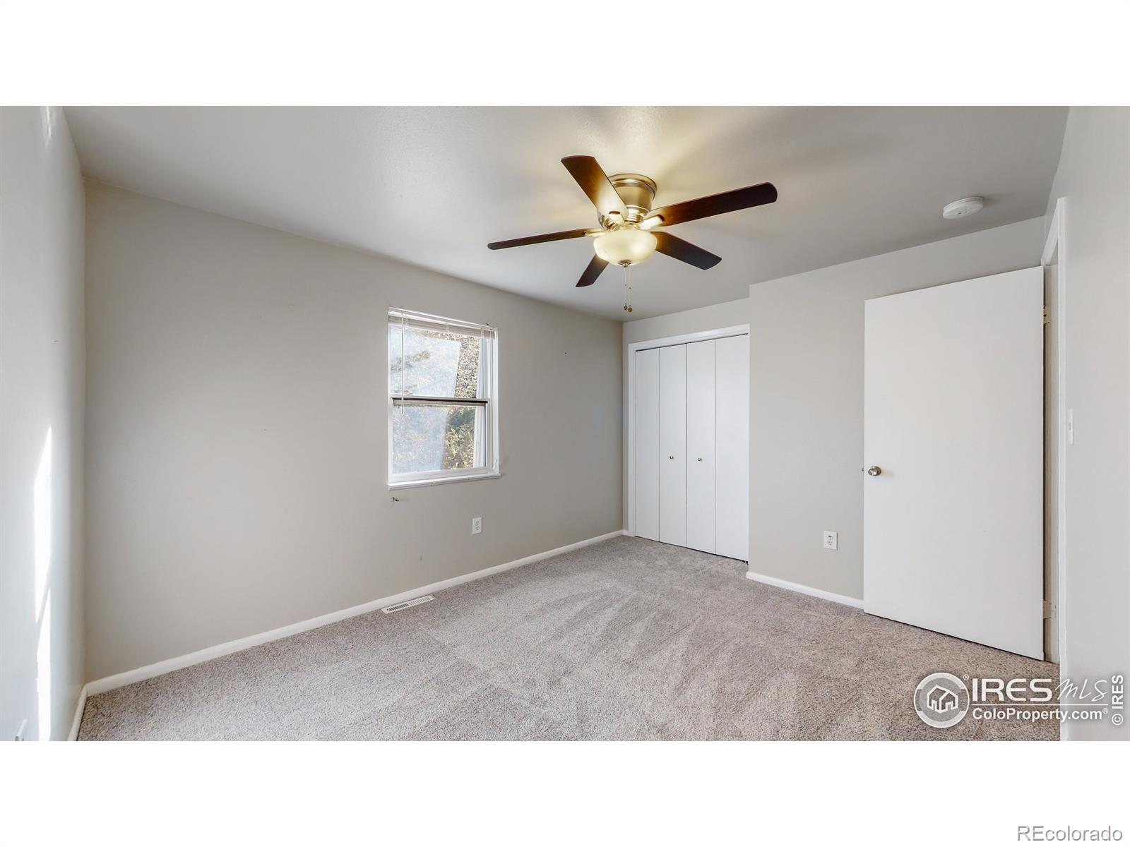 MLS Image #19 for 219  chestnut street,windsor, Colorado