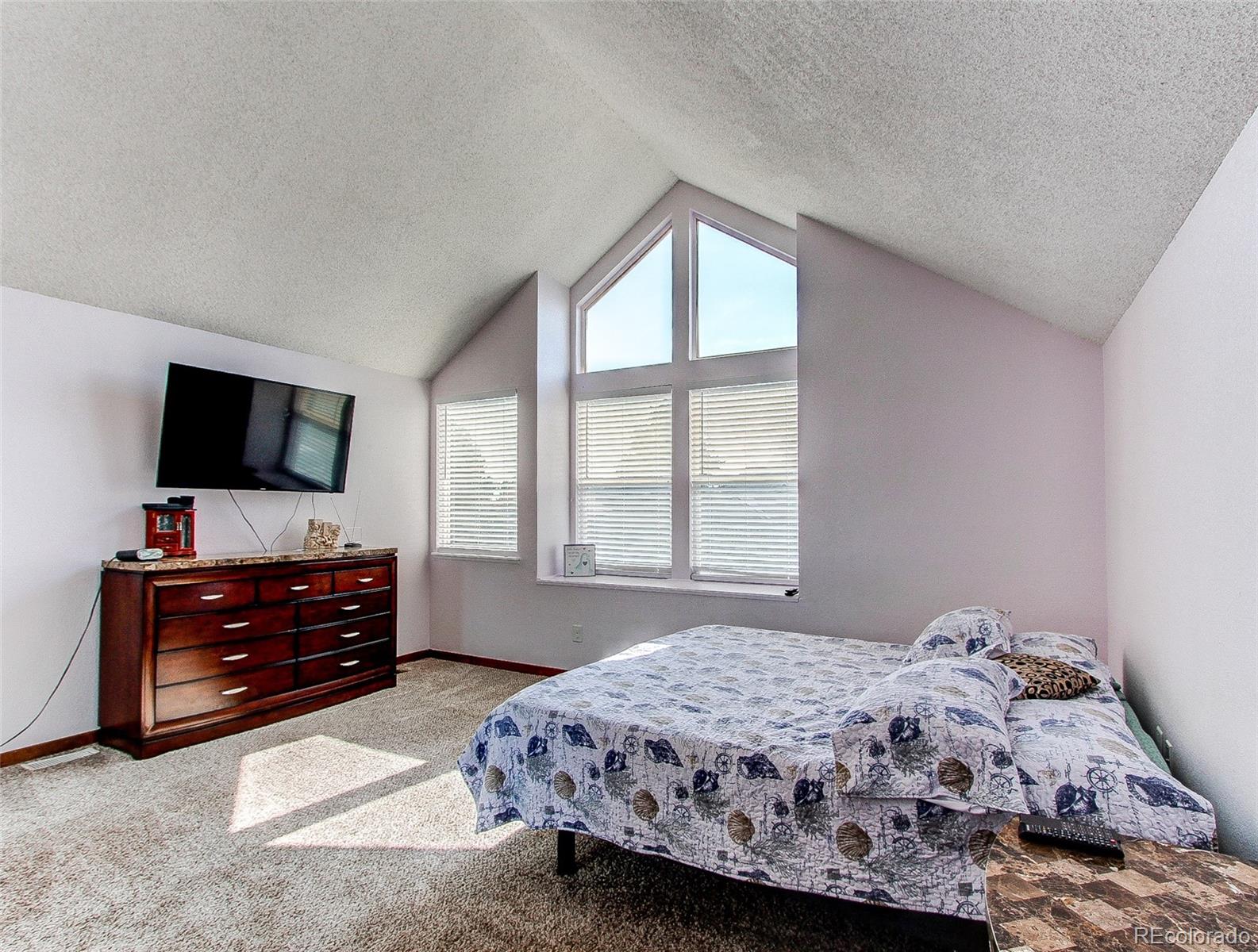 MLS Image #11 for 19473 e 42nd avenue,denver, Colorado