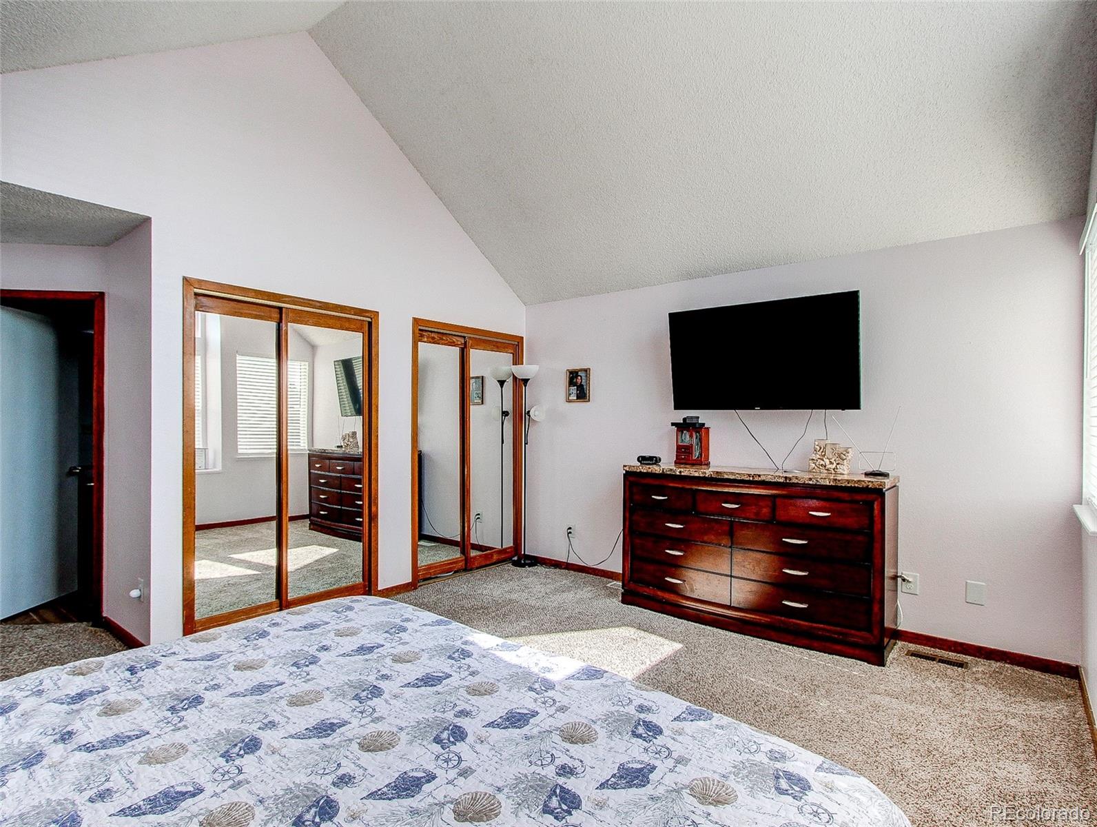 MLS Image #12 for 19473 e 42nd avenue,denver, Colorado